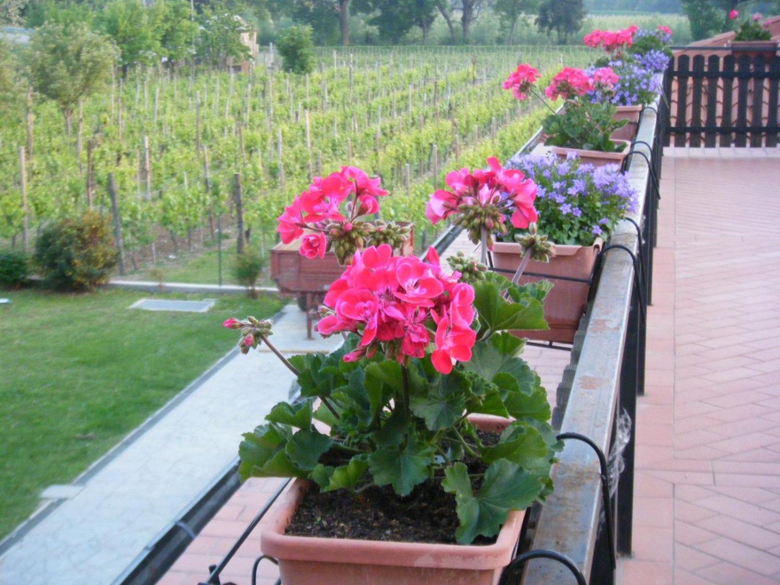 Agriturismo Grillo Iole Winery Prepotto  Buitenkant foto