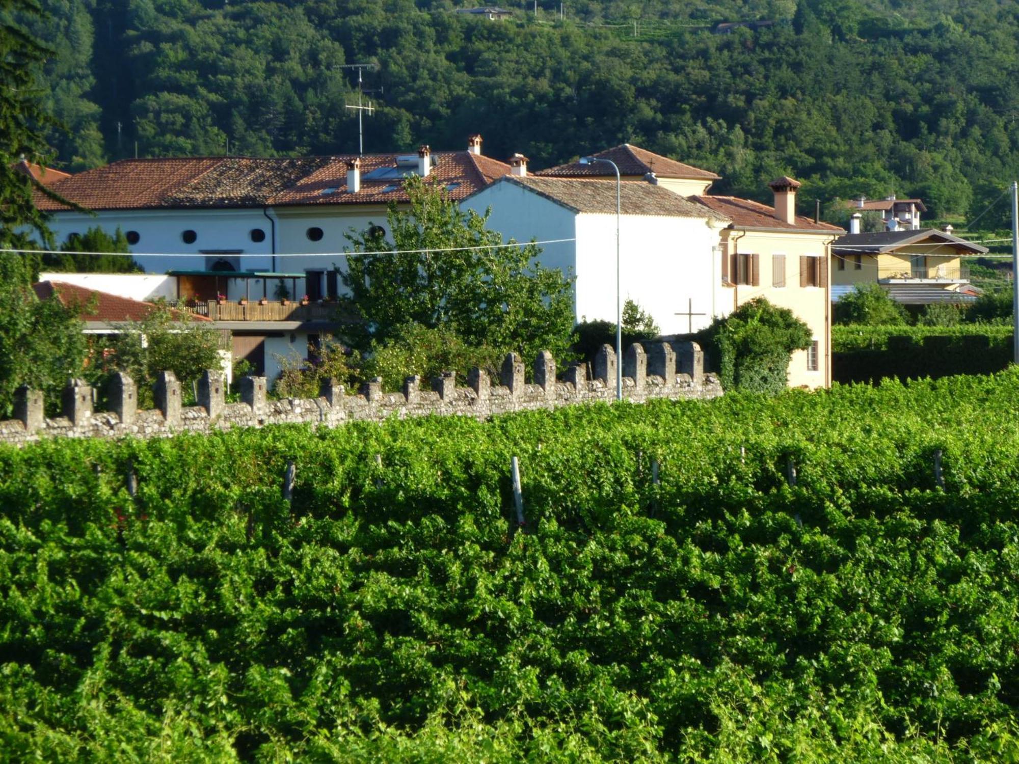 Agriturismo Grillo Iole Winery Prepotto  Buitenkant foto